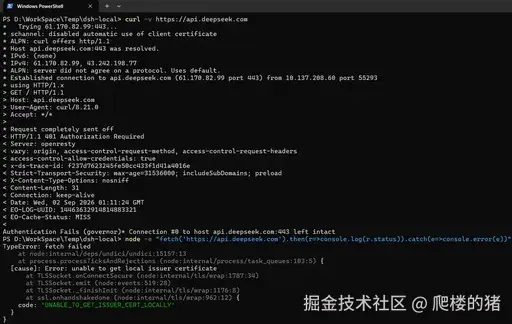 curl 可以访问但 Node fetch 证书失败