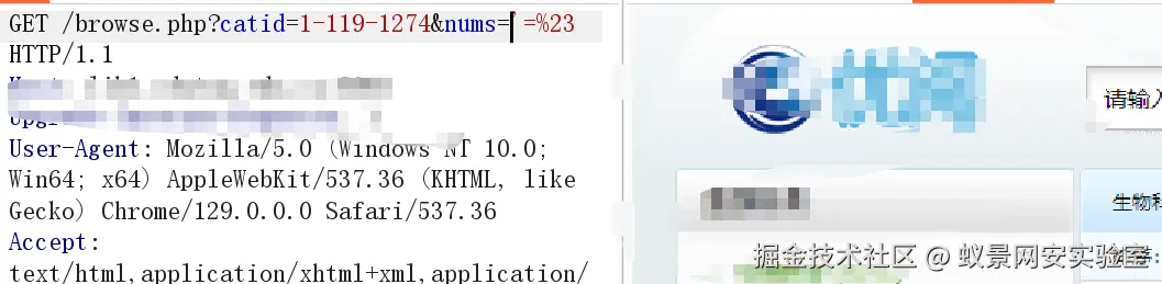 image-20241001012412676