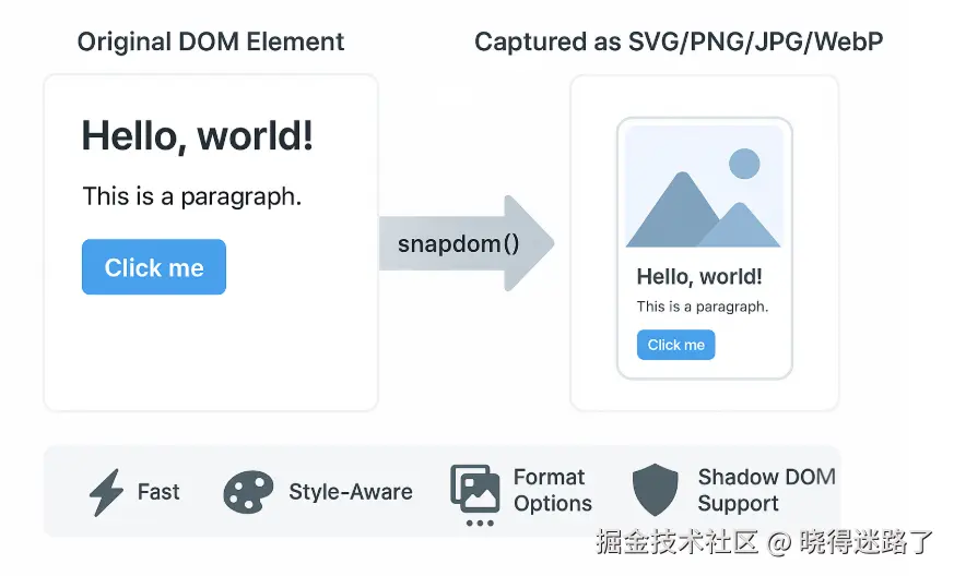 image-20250525074329456