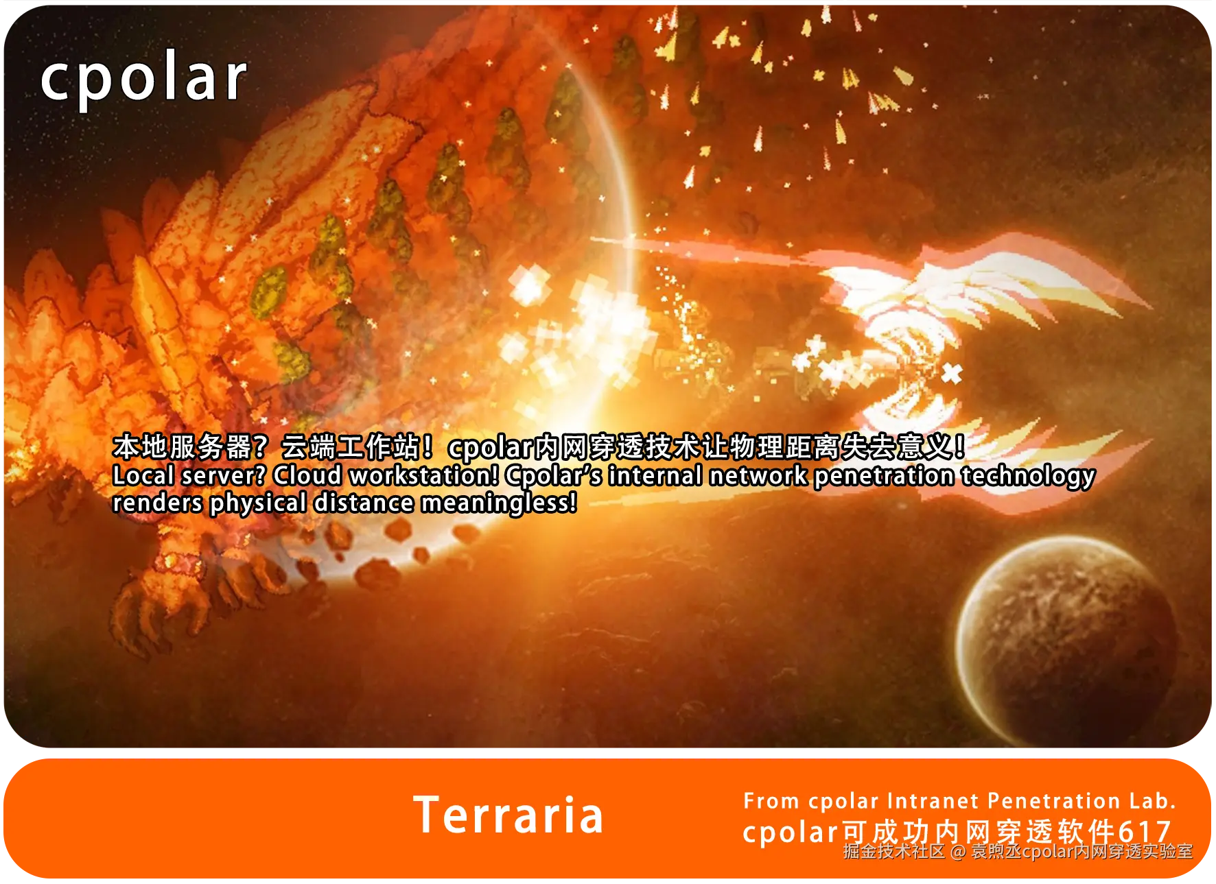 NO.617 Terraria-05.png