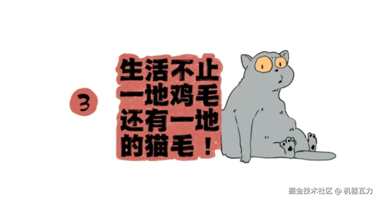cat.jpg