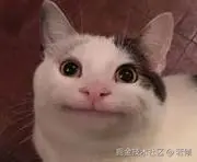 下载.jpg