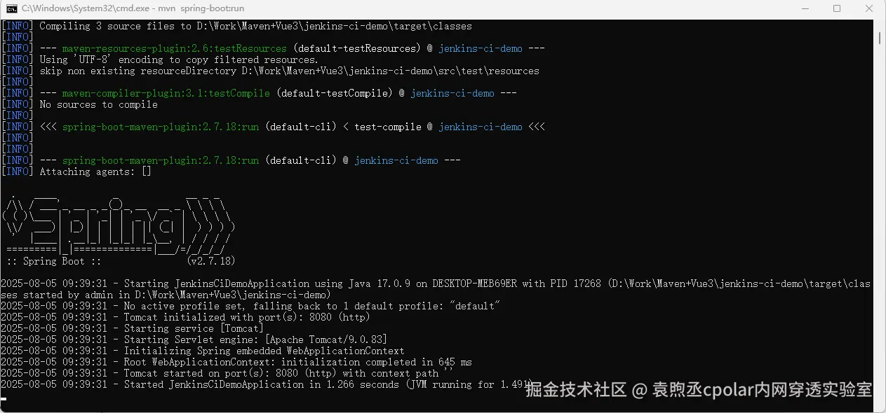 image-20250805094011032