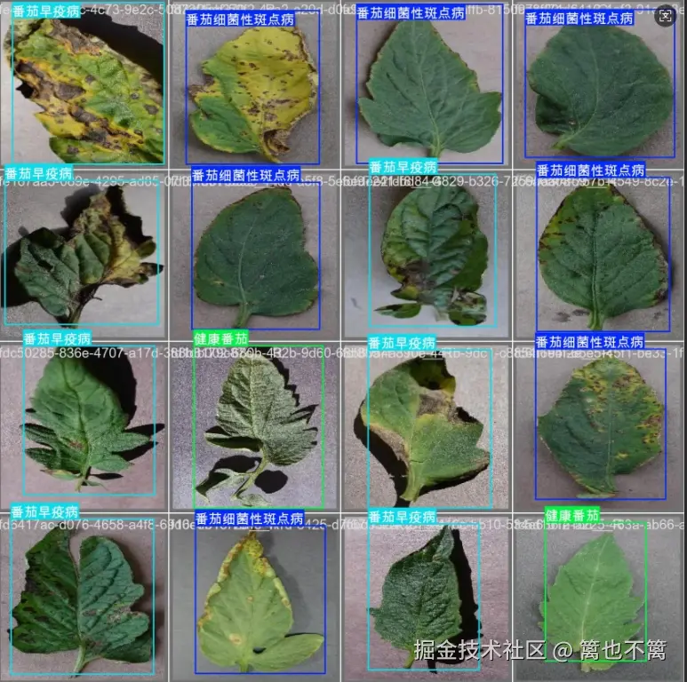 image-20251107210033613