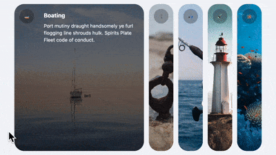 animated-details-horizontal.gif