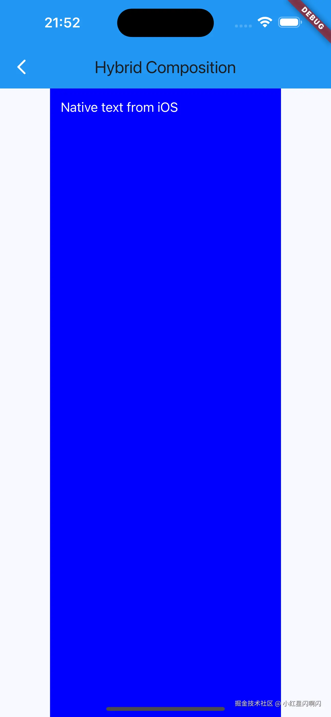 iOS运行原生视图