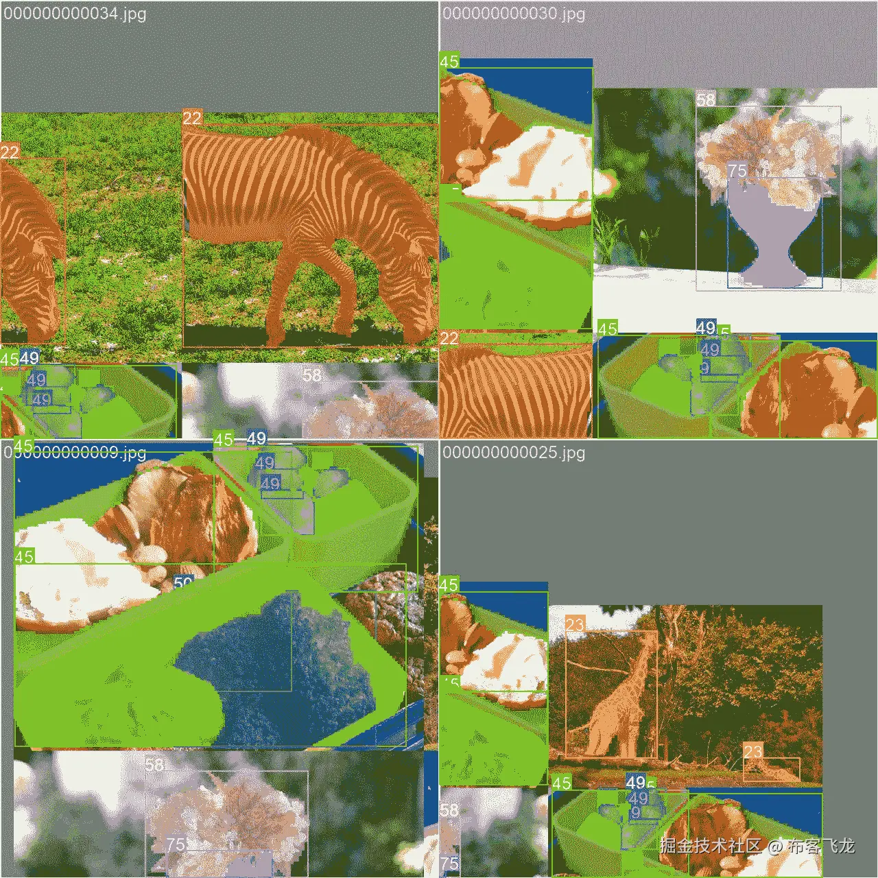 数据集示例图像