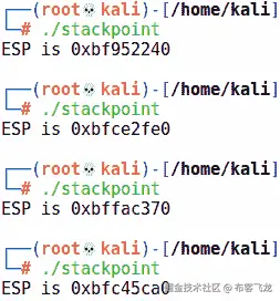 图 11.5 – 我们的栈指针程序在启用随机化时的运行情况