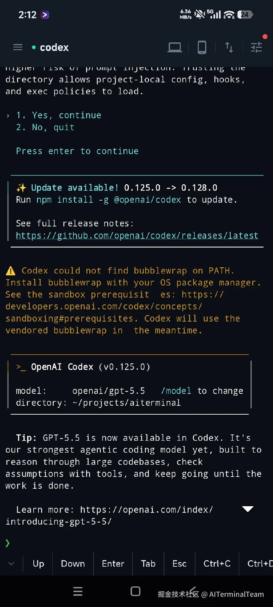 06\_codex.jpg