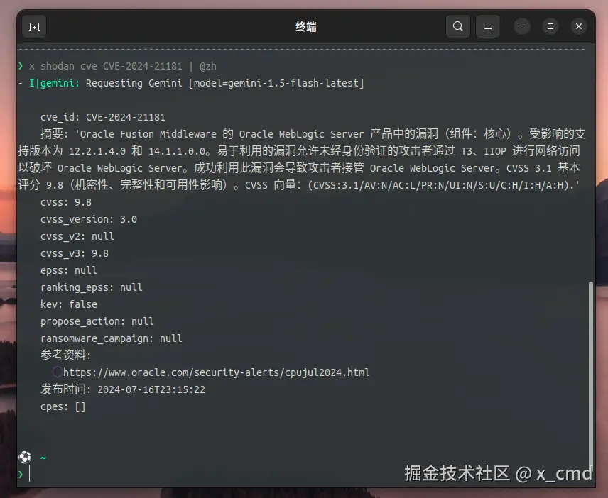 shodan_cve_zh.png