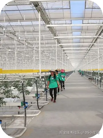 image-20250619094953962