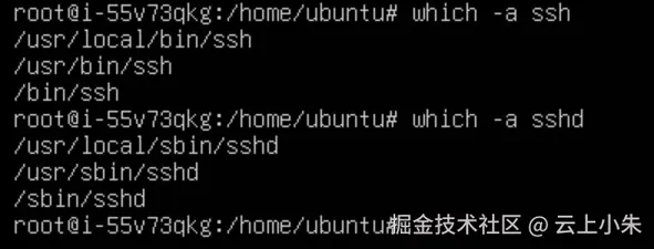 image-20260303104618151.png