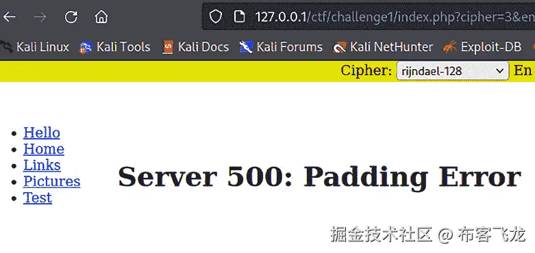 图 6.19 – 填充神谕告诉我们我们已经破解了填充