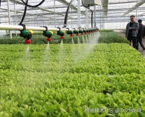 image-20250619095053381