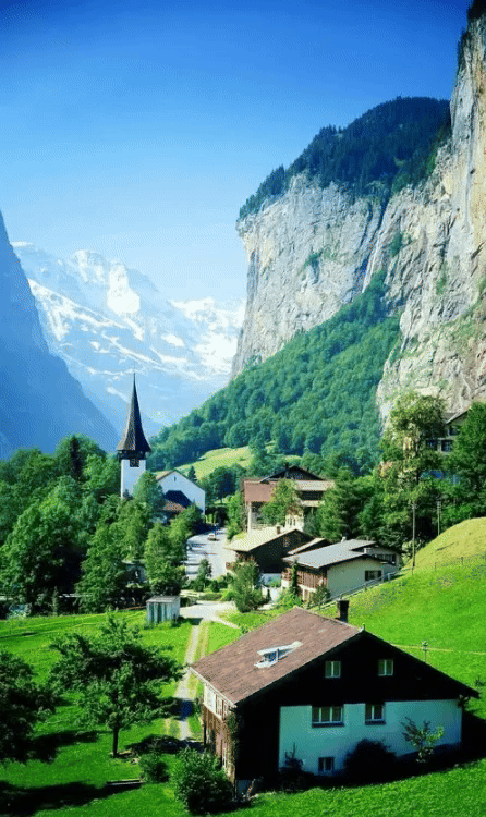 1wpxc-qh42b.gif