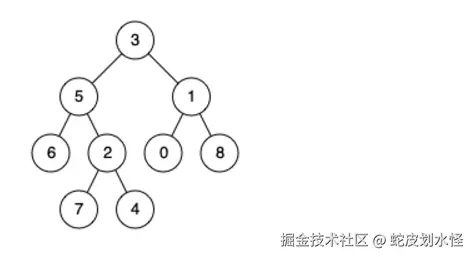 image-20241120200504713