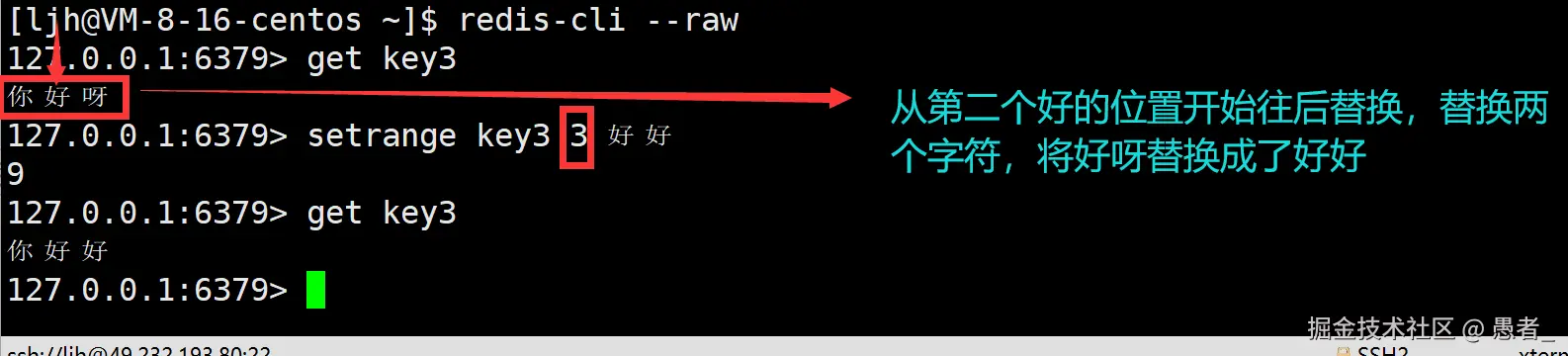 image-20240702144220340