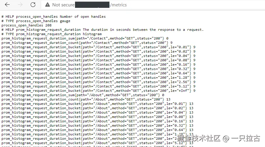 prometheus-metrics.png