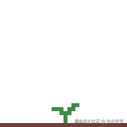 桂花树的成长.gif