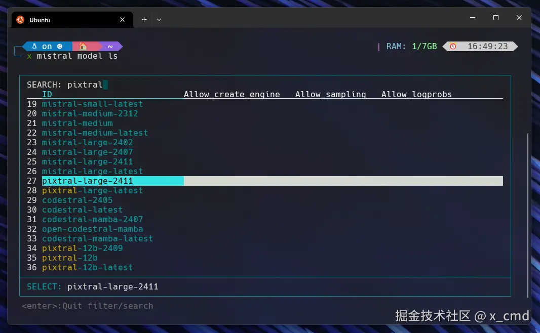 x_mistral_model_ls_pixtral-large.png