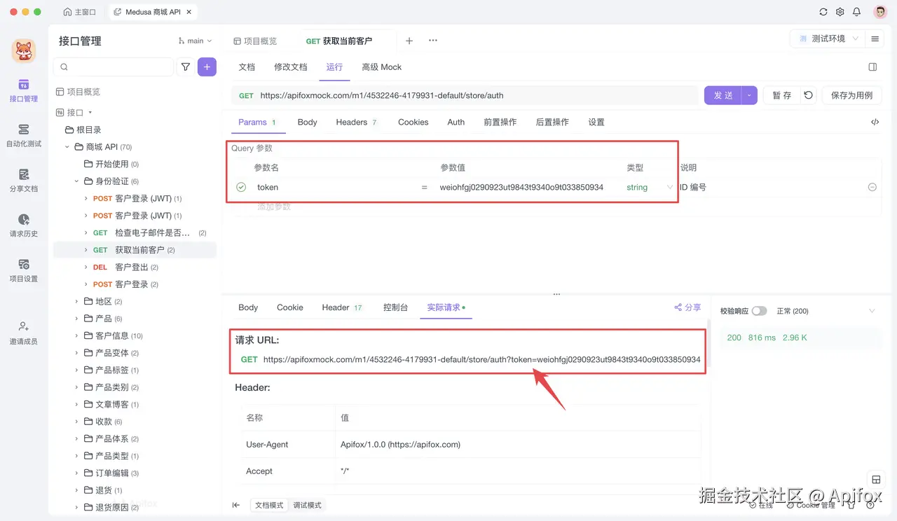 如何在请求中使用 API Token