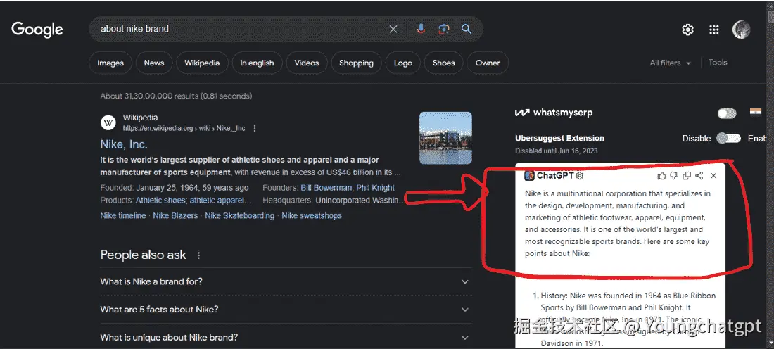 ChatGPT 适用于 Google