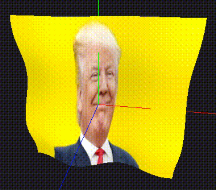 懂王在风中凌乱