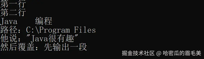转义字符运行结果截图