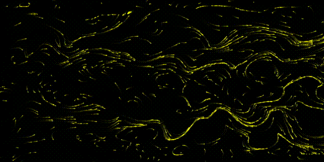 20241102_204252.gif
