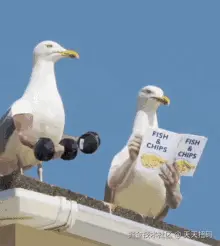 沙雕表情 (2).gif