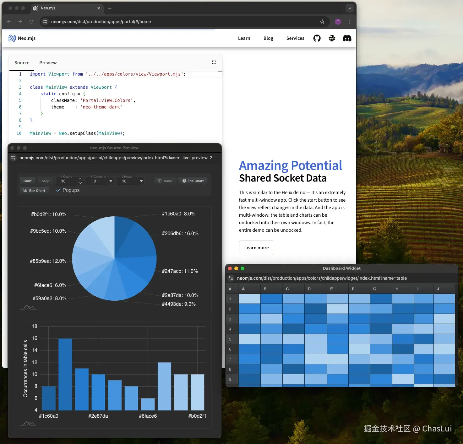 带有 2 个分离窗口的 SocketConnection 仪表板
