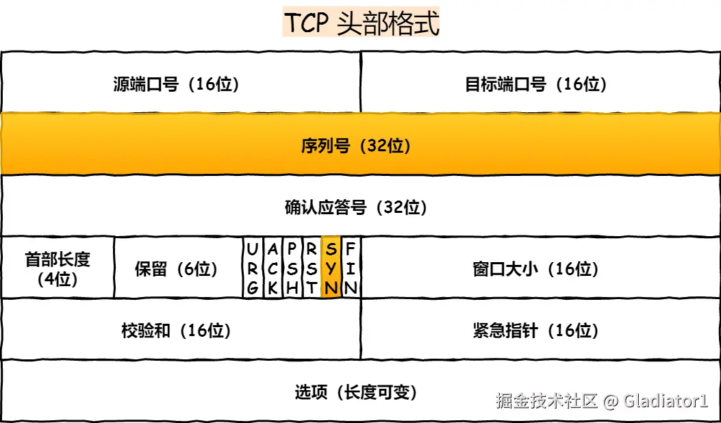 TCP 头部