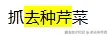 微信截图_20250208140005.png