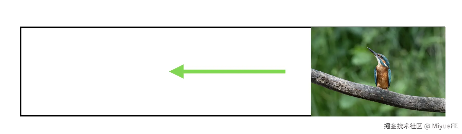 一只鸟坐在树枝上的照片，位于1000px矩形的右侧，有一个指向左侧的箭头