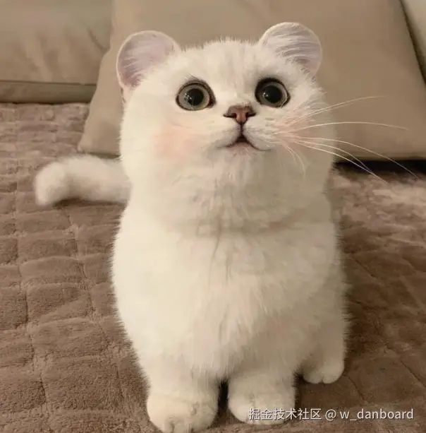 企业微信20251211-154543.png