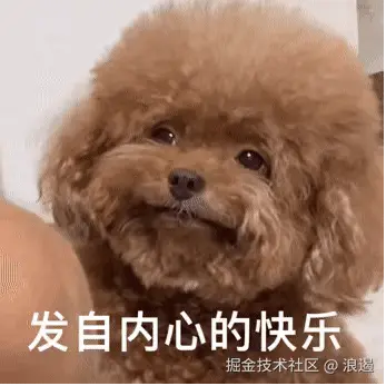 发自内心的快乐.gif