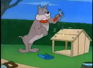 Colder_于2026-01-09 15:33发布的图片