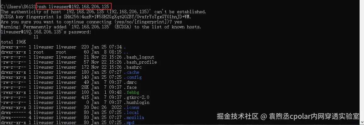 image-20240125153455305