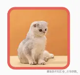 带边框的圆角矩形