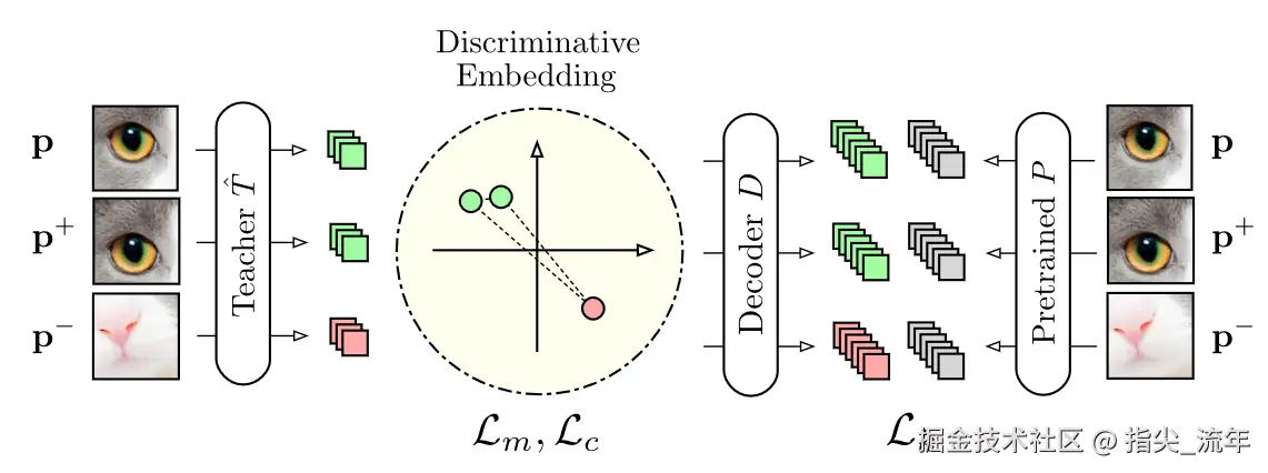 image-20240731161017483.png