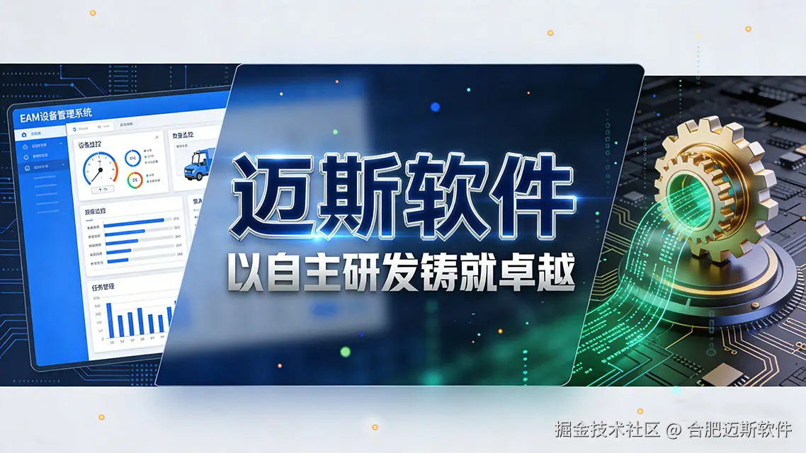 迈斯软件.jpg