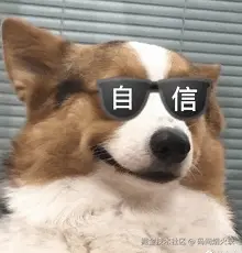 image-20250125105243786