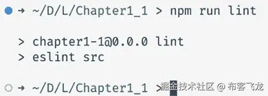 图 1.6 – 代码检查器成功运行，没有错误