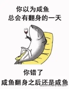 你以为咸鱼总会有翻身的一天，你错了，咸鱼翻身之后还是咸鱼.gif