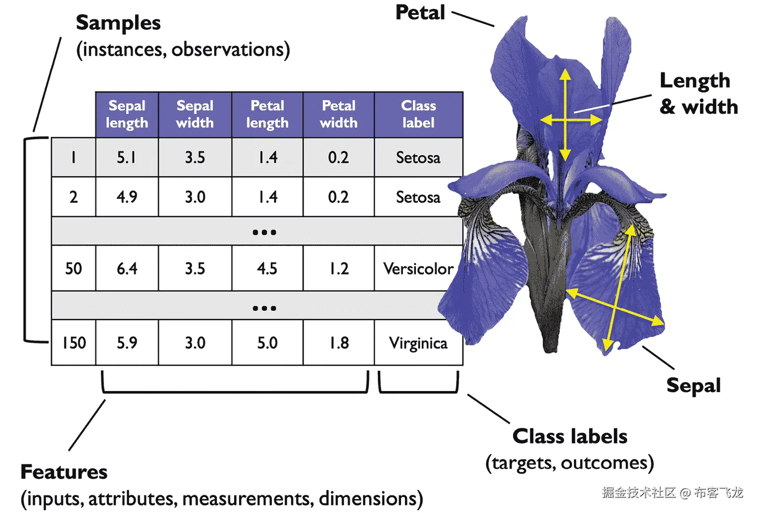 图 1.8 描述 自动生成