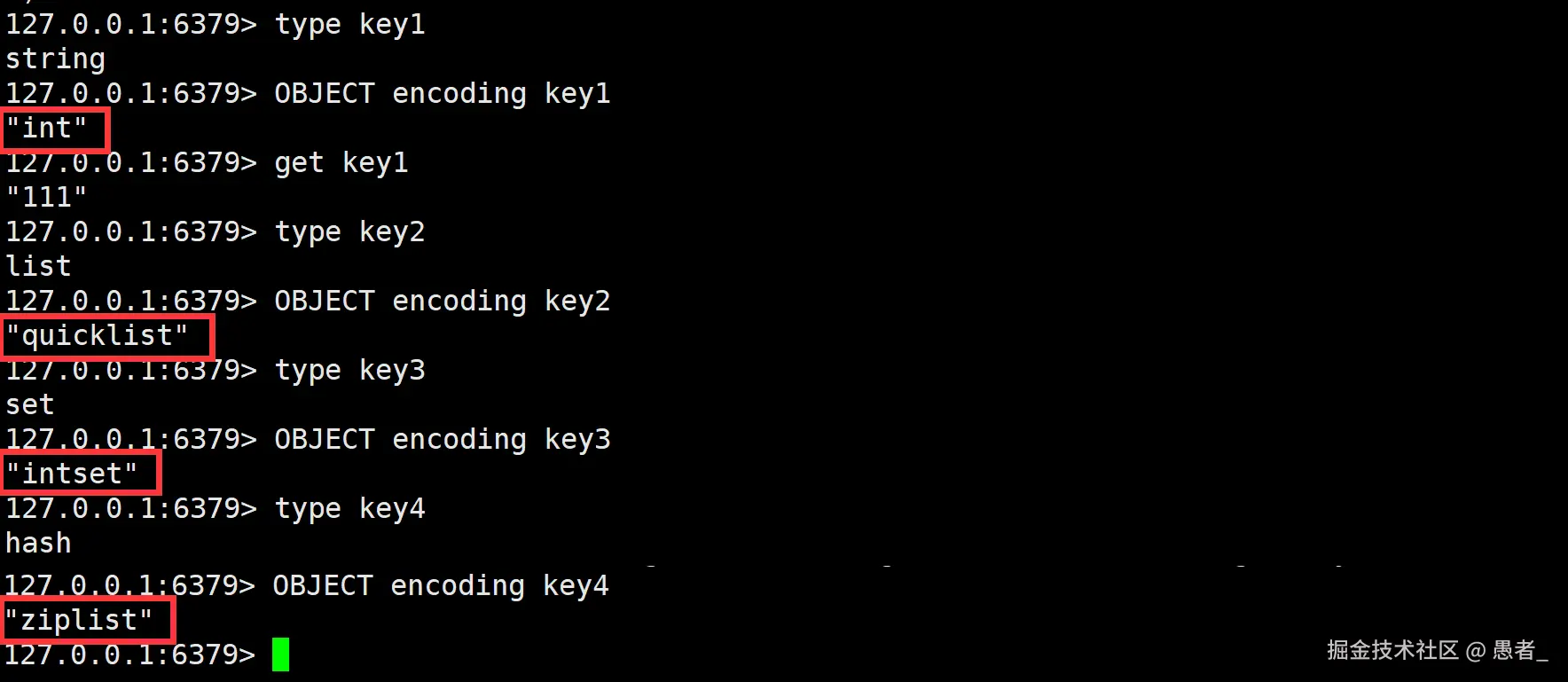 image-20240701161833746