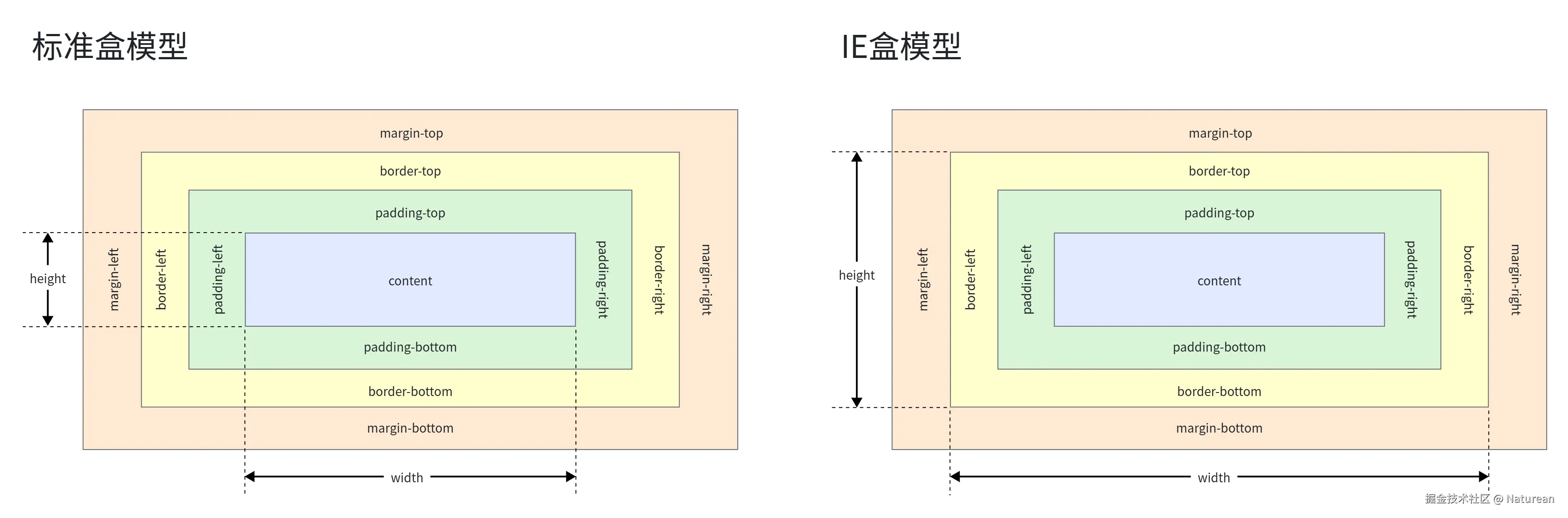 标准盒模型