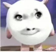 6ea598d25667784a212a362d6556299.png