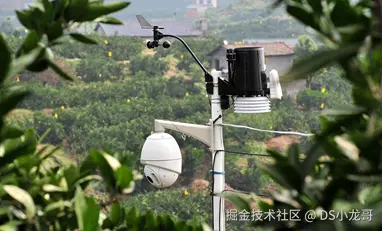 image-20250619095007942