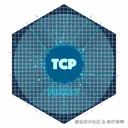 TCP调试助手 Logo